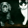 ウェルカムボード イヌとネコ